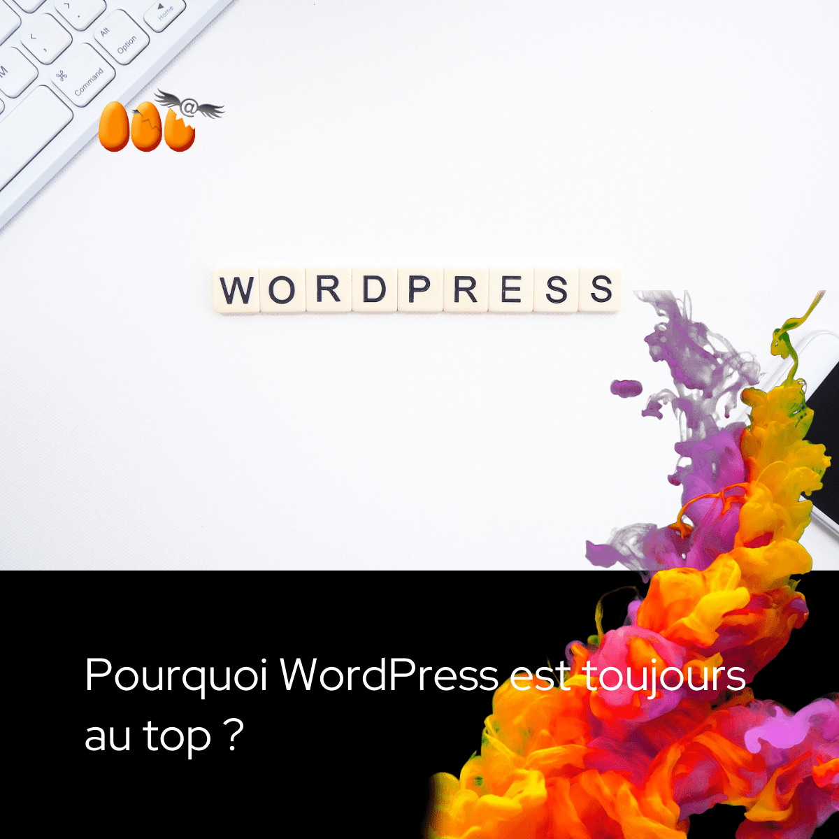 Pourquoi WordPress est toujours au top ?